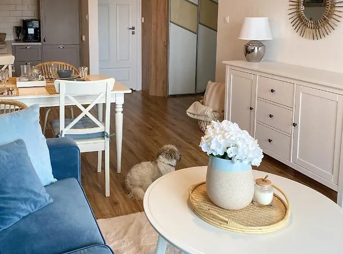 Akwamaryn * سفينويتشي