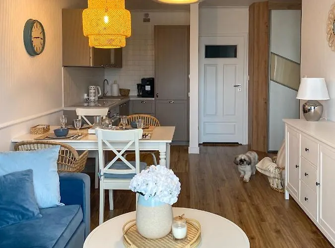 Akwamaryn سفينويتشي